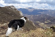 79 Nika osserva con attenzione verso il percorso del rientro...